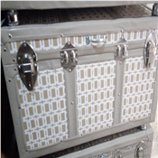 Trunk Box