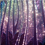 Sequined Lace Fabric Sparkly Fabric 
