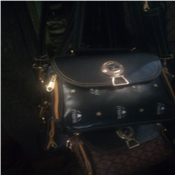    Classy Portable Ladies Bag