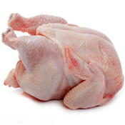  FROZEN CHICKEN PER KG