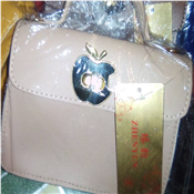 Apple design hand bag