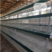 Automatic Poultry Cage