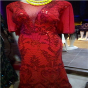 High Quality Women China Gown 