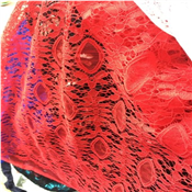 Quality Sample Net Lace 2500 Per Yard