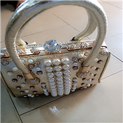 Ladies Designers hand bag