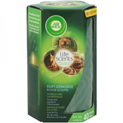 265G AIR WICK SCENT CANDLE GREEN