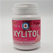LOTTE XYLITOL MINT GUM MINI MIX