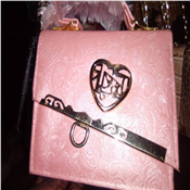 Ladies hand bag