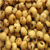 TIGER NUT