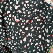SHIFFON FABRIC