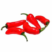 CHILLI RED PEPPER SHOMBO PER KG