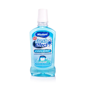 500ML WISDOM FRESH EFFECT MOUTH WASH MIX 