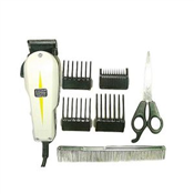 ZION CLIPPER (ZION 3000)