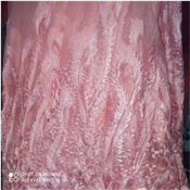 NET FLOWER LACE FABRIC