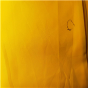 BELL MATERIAL FOR FANCY STYLES - 4YARDS