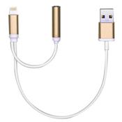 2 IN 1 LIGHTING TO HEADPHONE JACK ADAPTER