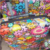 Plastic luggage