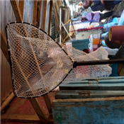 Landing Net Hand Nets 