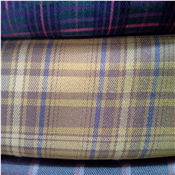 Quality Senator Material