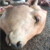 COW HEAD PER KG