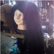 Human Hair Wig