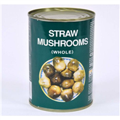 425G TEAL MUSHROOM WHOLE