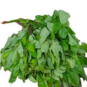 Fresh Oha Leaf - 1kg
