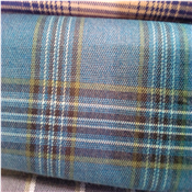 Quality Senator Material