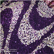 VELVET SEQUINS FABRIC