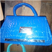 Ladies hand bag