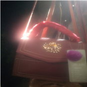    Classy Portable Ladies Bag