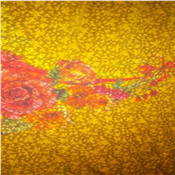 Textile plain and pattern chivon