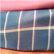 Quality Senator Material