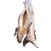 STOCKFISH HARD COD MEDIUM 