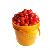 Fresh Pepper 1 Paint