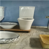 Elegant Round Toilet bowl seat
