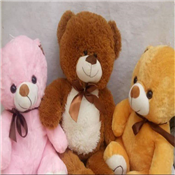 TEDDY BEAR EXTRA MEDUIM