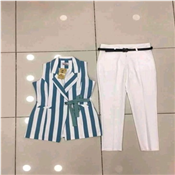 High Quality Ladies Trouser/top