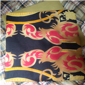 Plain and Pattern Fabric 