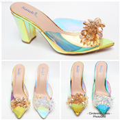 Ladies Designers shoe