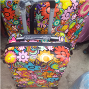 Plastic luggage