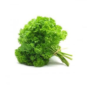 PARSLEY PER KG