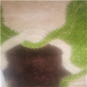 shaggy 4 by 6 center rug