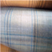 Quality Senator Material