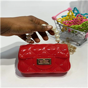 Ladies Clutch Purse