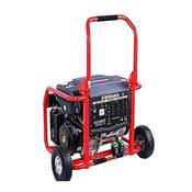 FIRMAN GENERATOR (ECO10990ESR)
