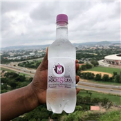 500ML MANGERO WATER