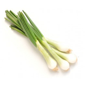 SPRING ONION PER KG