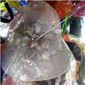 Beautiful White Fascinator