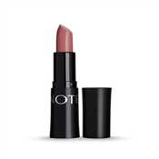 4.5G NOTE MATTEMOIST LIPSTICK 311
